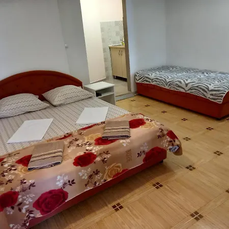 Bugenvilija Daire