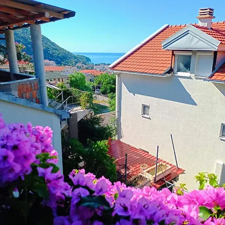 Bugenvilija